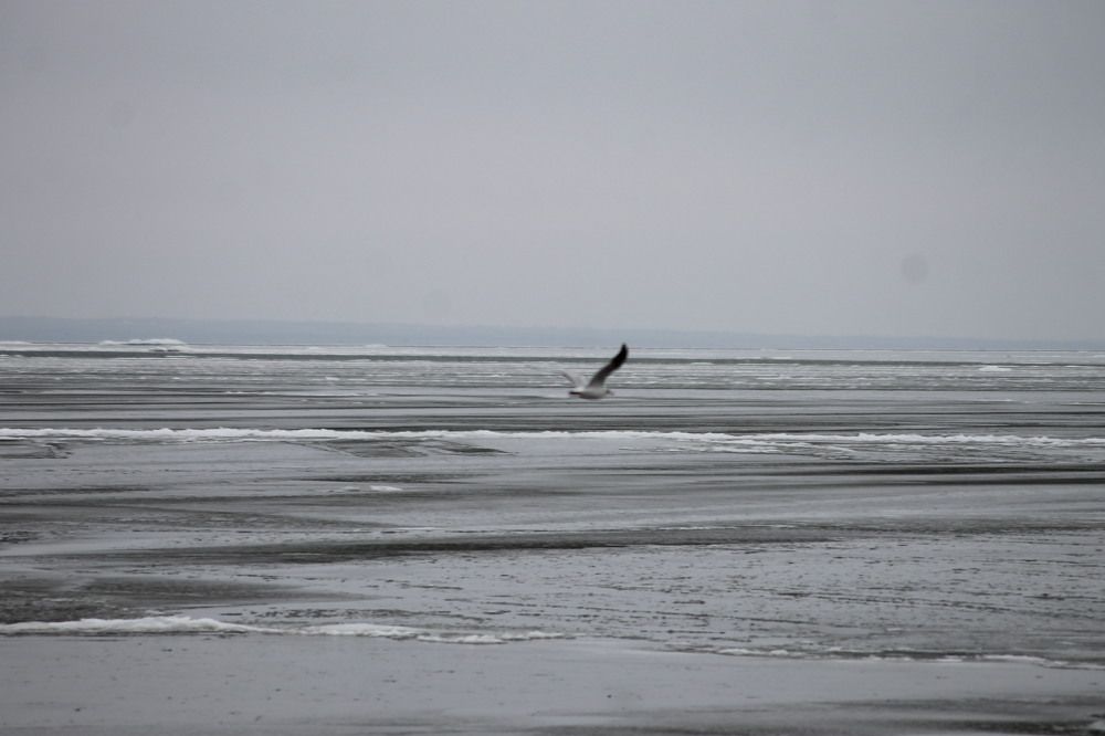 Photograph by Александр Гришин