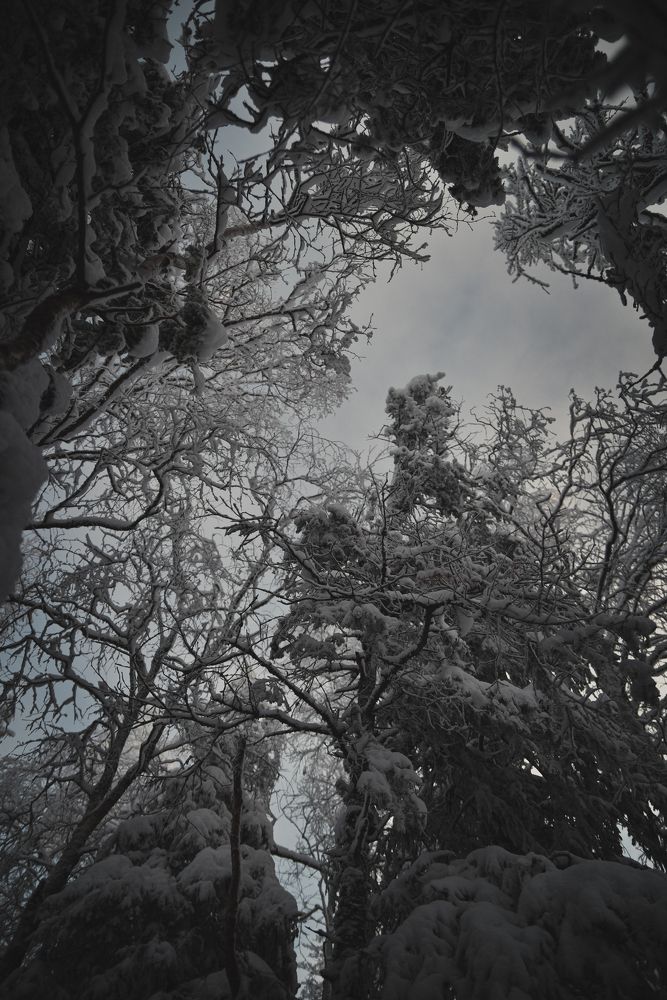 Photograph by Анастасия Фокина