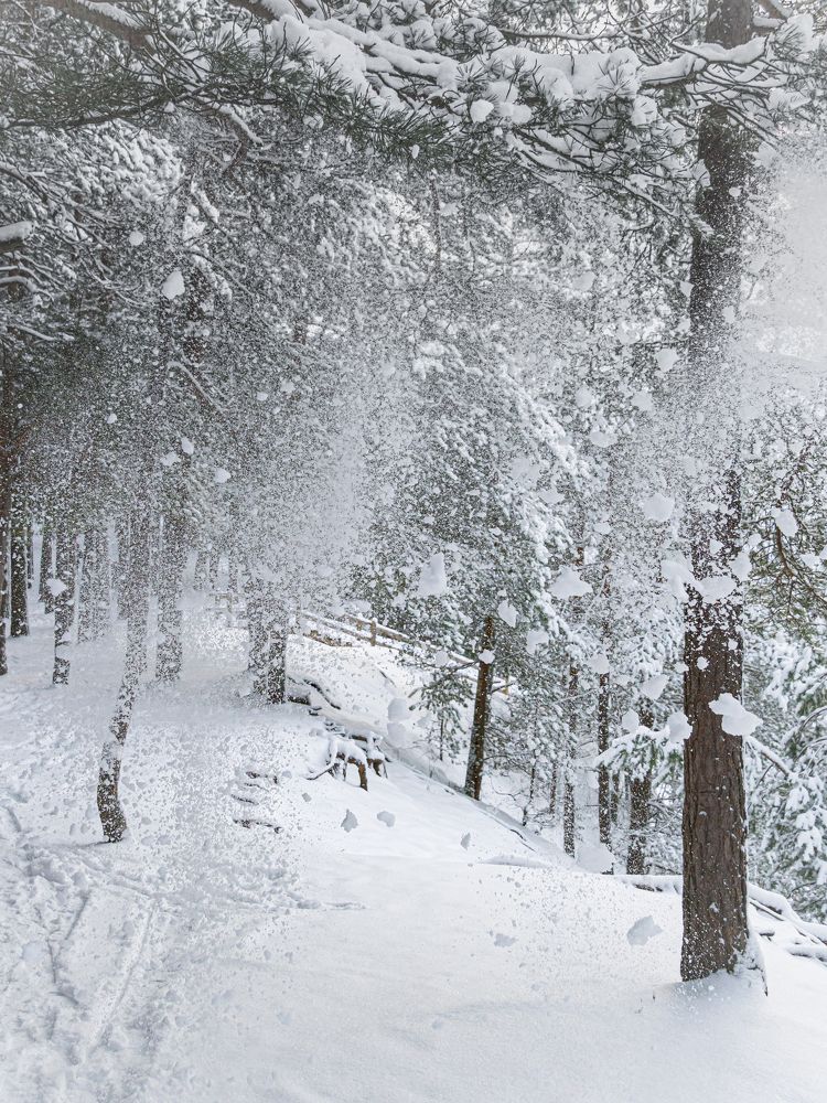 Photograph by Valdis Serzhans