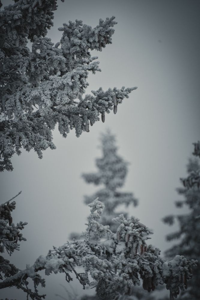 Photograph by Анастасия Фокина