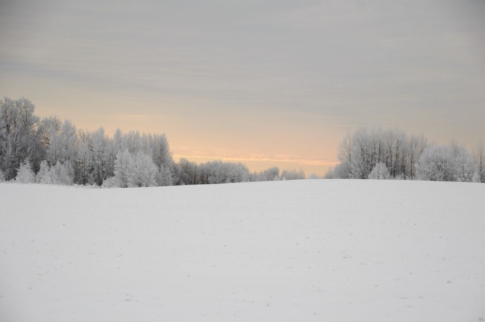 Photograph by Ahto Avi