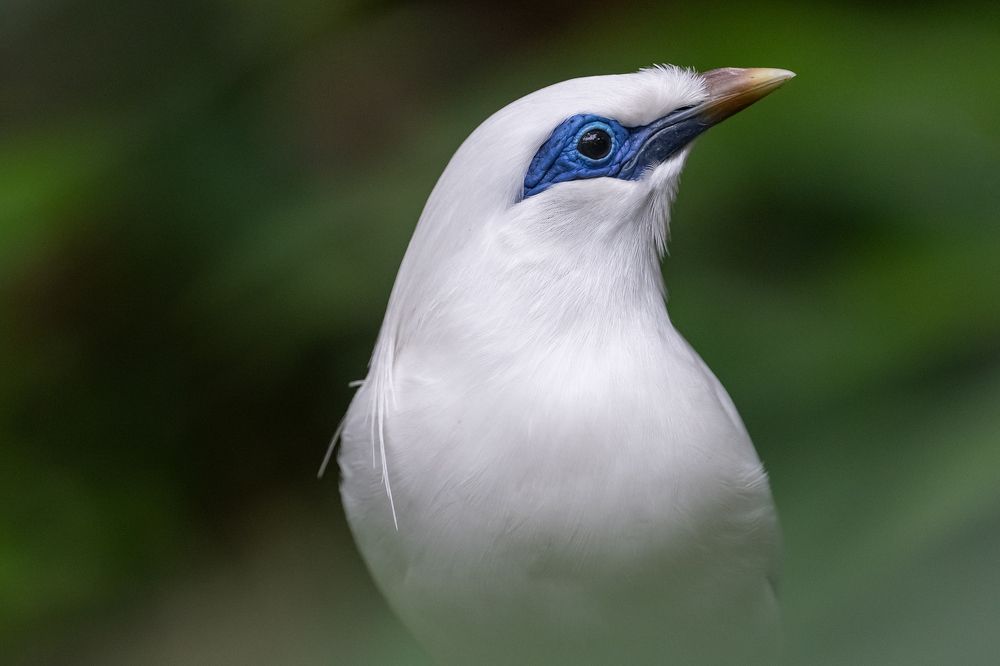 Photograph by Benny Chan