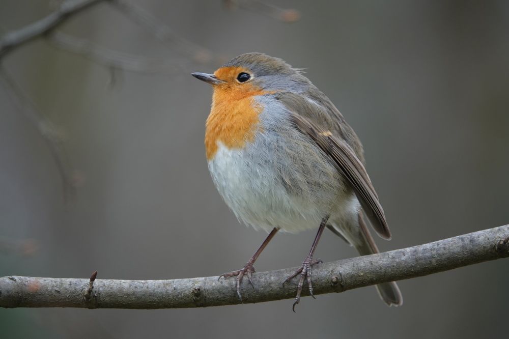 Photograph by ertan sercan