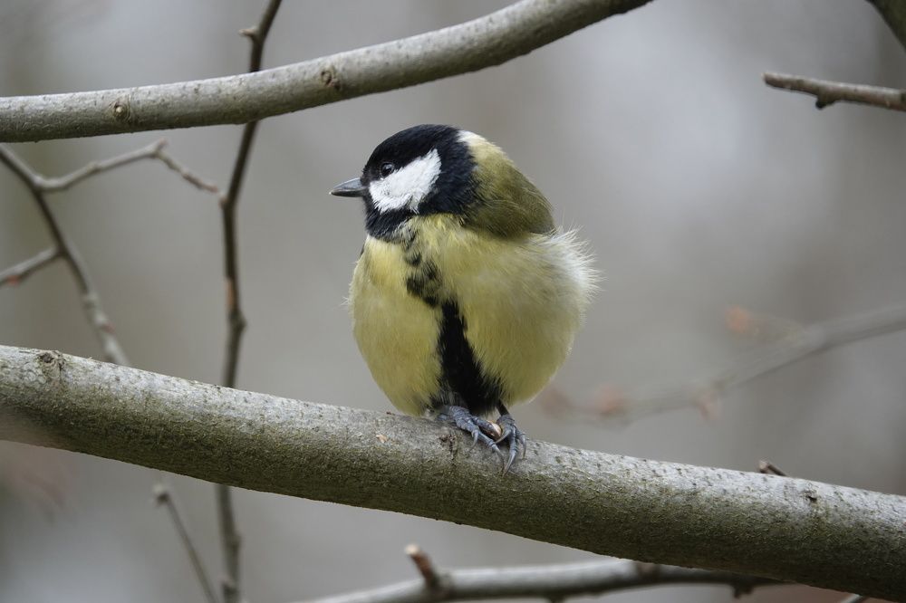 Photograph by ertan sercan