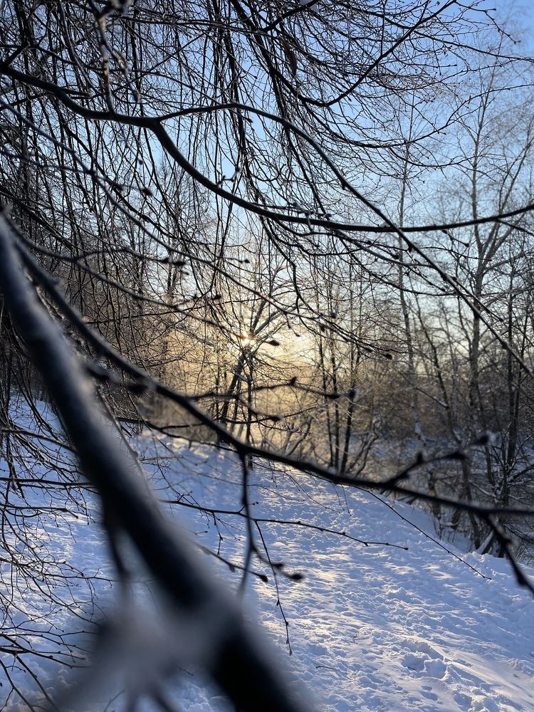 Photograph by Виктория Мостовая
