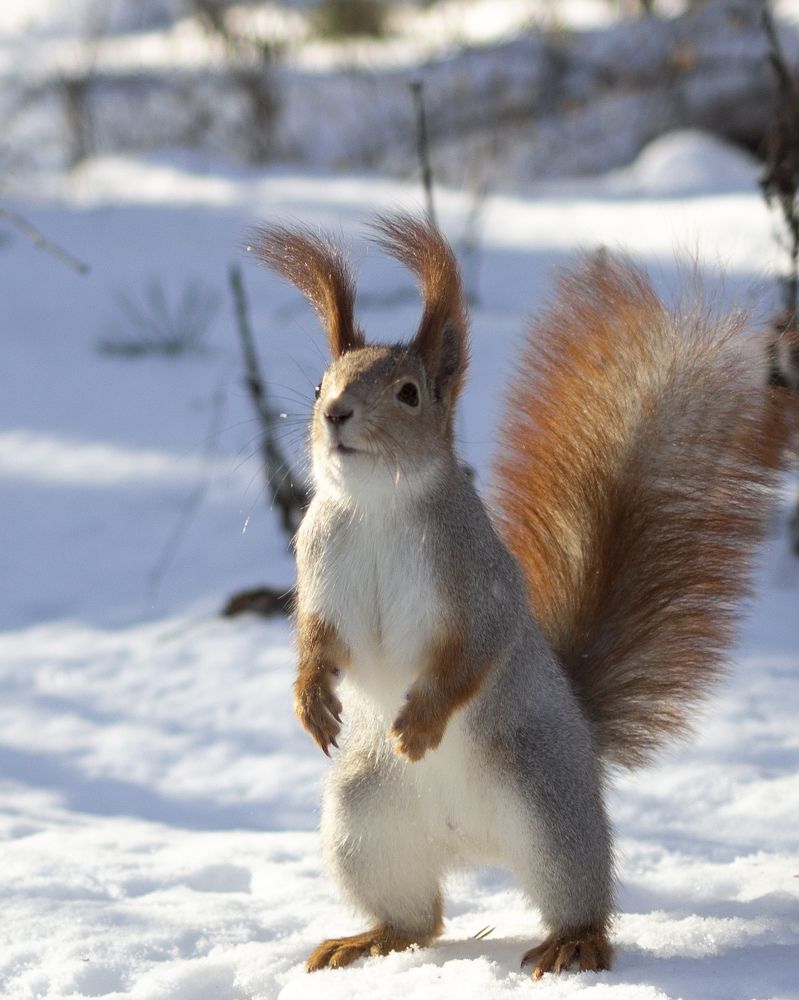 Photograph by Александр Затямин