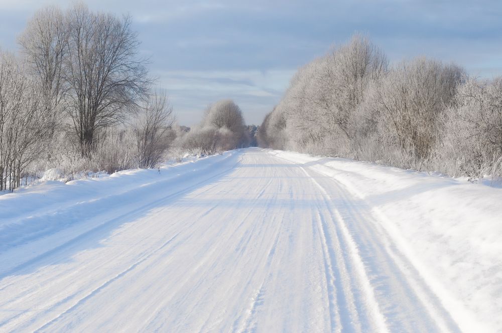 Photograph by Алёна Шматова