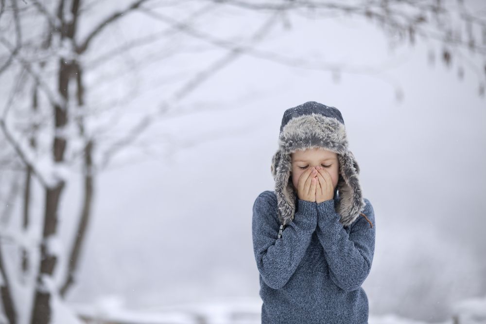 Photograph by Скорнякова