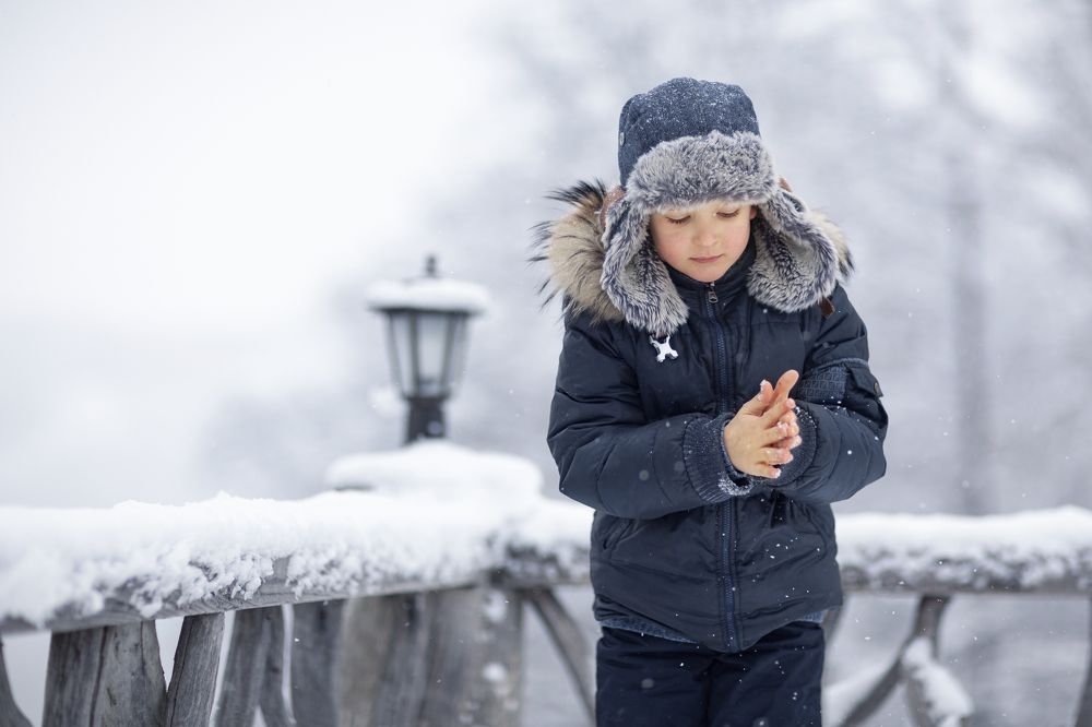 Photograph by Скорнякова