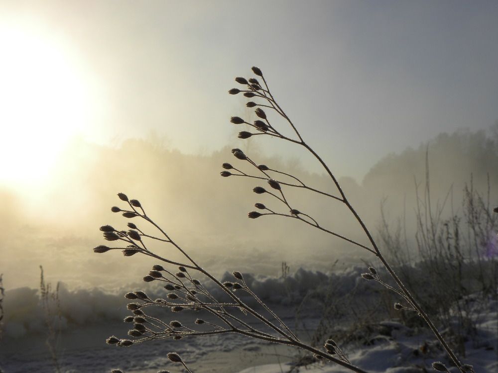 Photograph by Marija Lisickaja