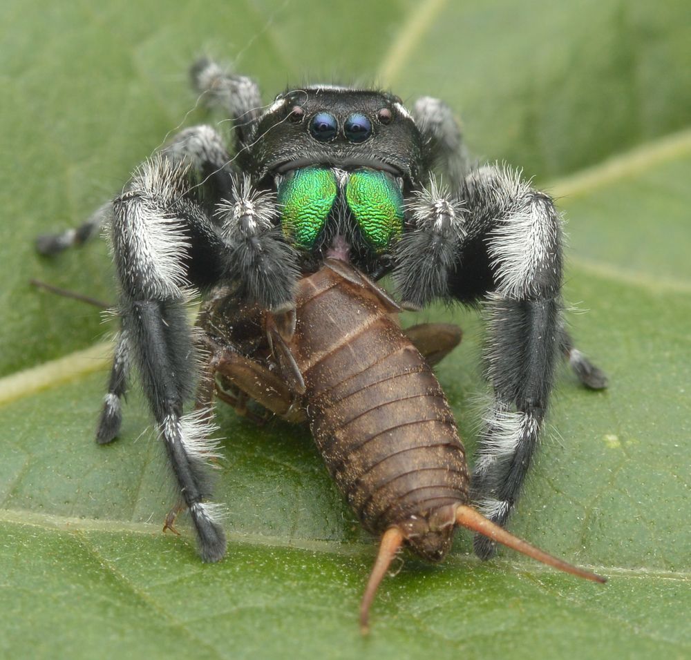 Photograph by Yusak priyanto