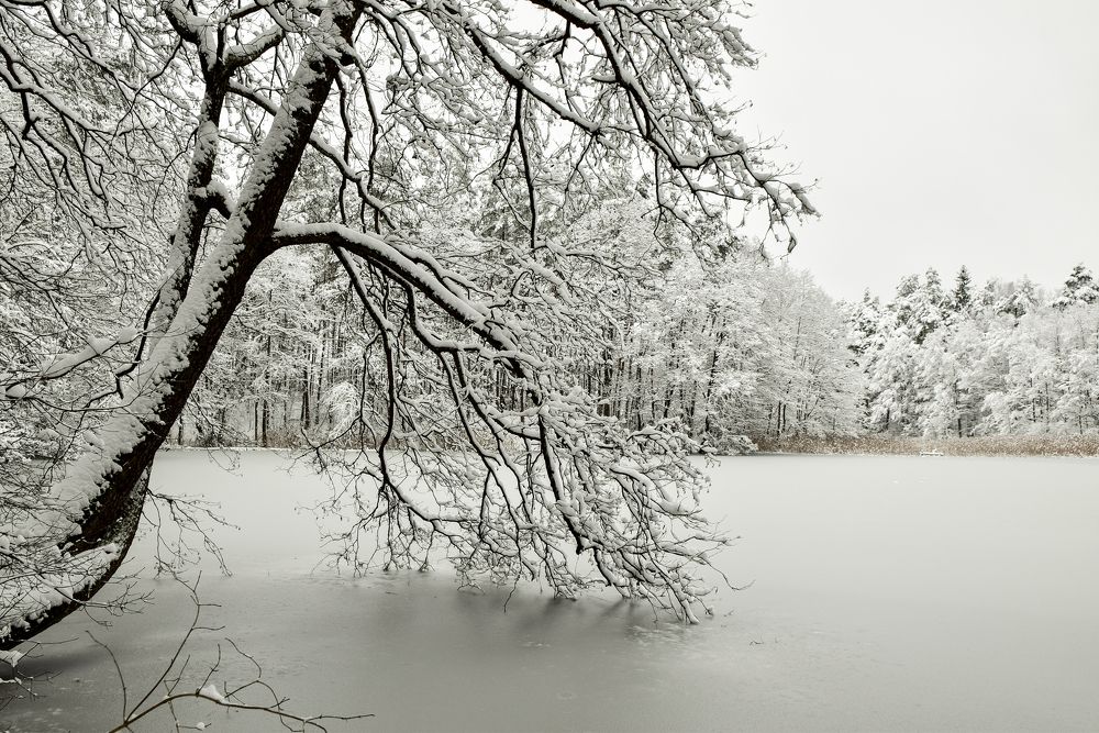 Photograph by Marija Lisickaja