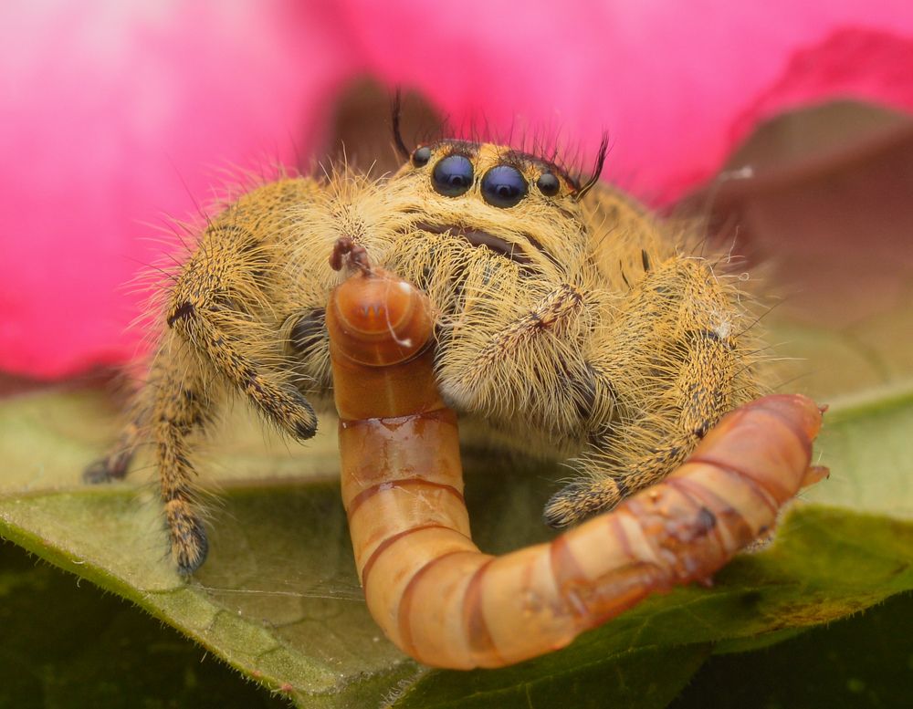 Photograph by Yusak priyanto