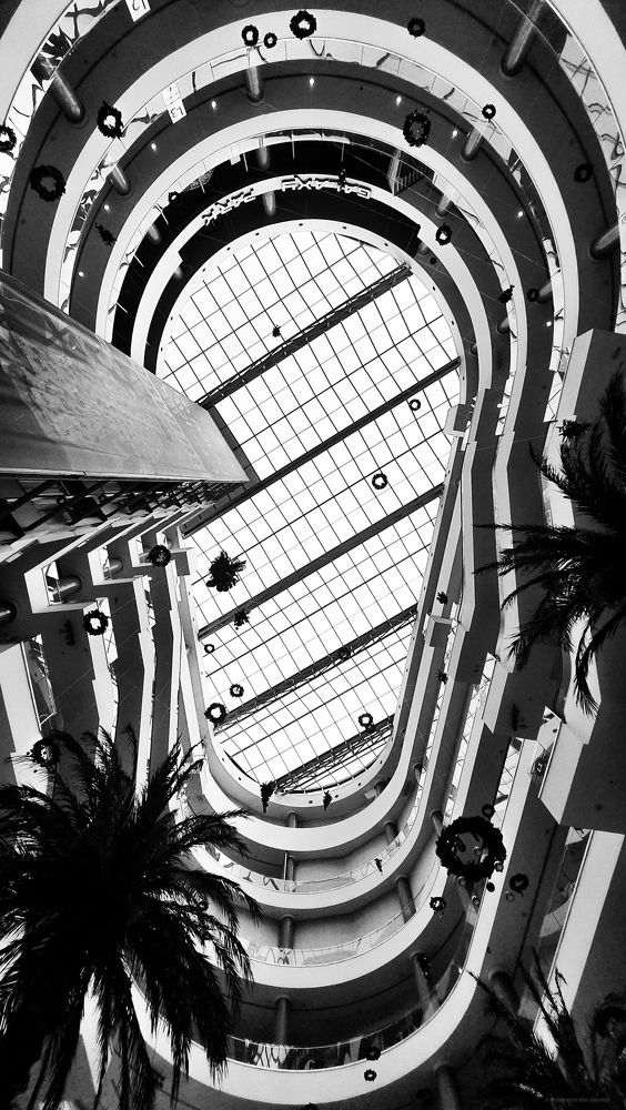 Photograph by Mohammad Abd-Alwahab