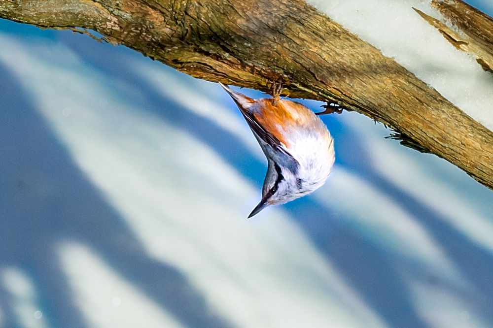 И что это там шумит?/And what is that noise?