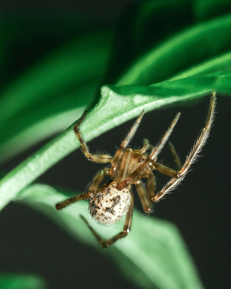 Фотография автора Виктор Максимов