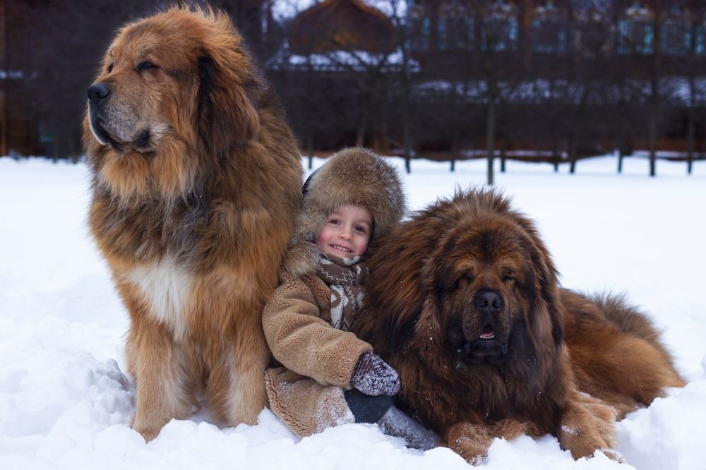 Photograph by Алеся Маклакова