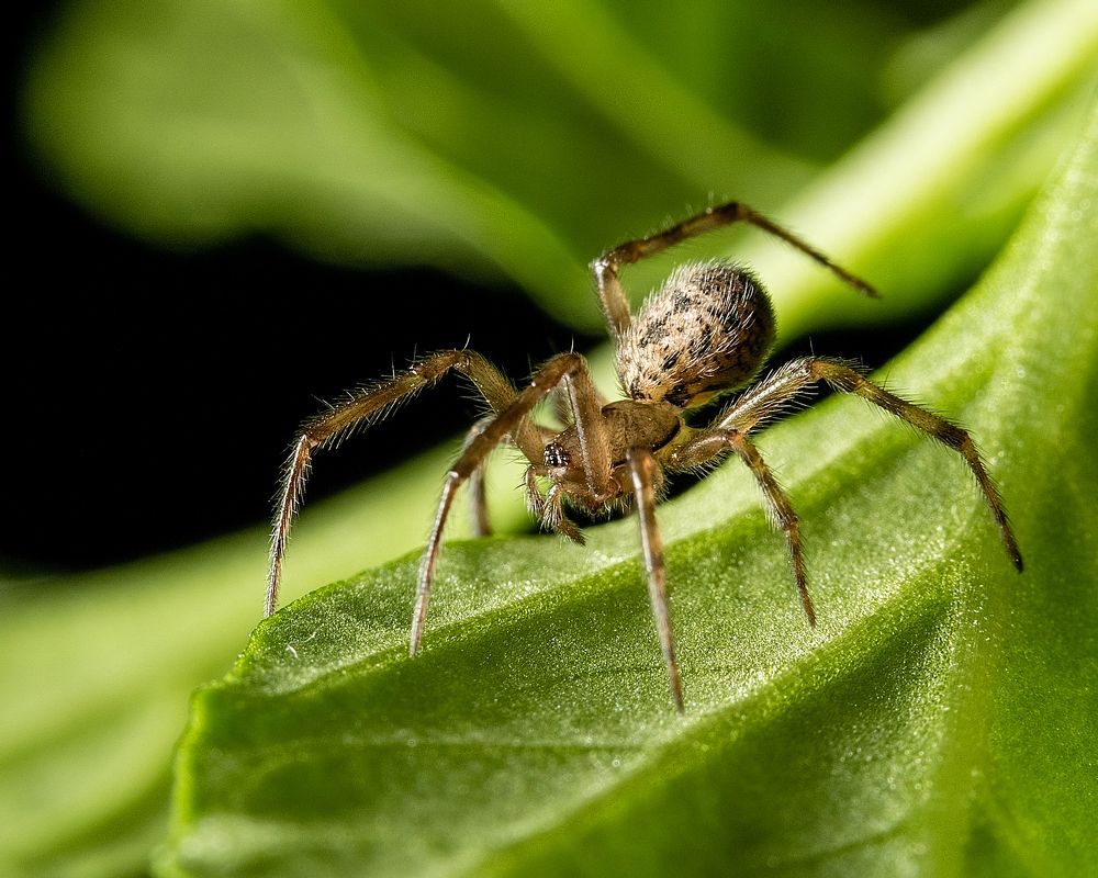 Фотография автора Виктор Максимов