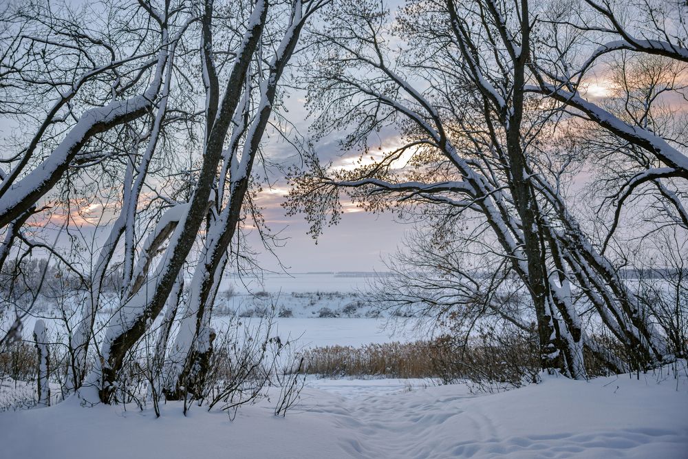 Заснеженный Дон