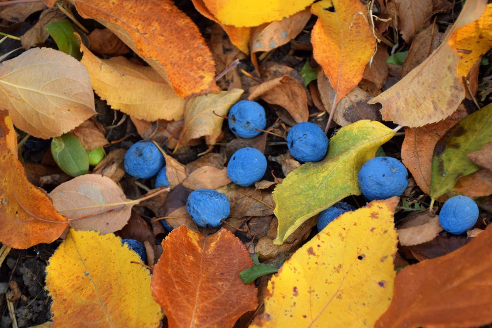 Photograph by Татьяна Дорожко