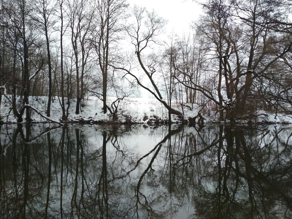 Photograph by Татьяна Шарко