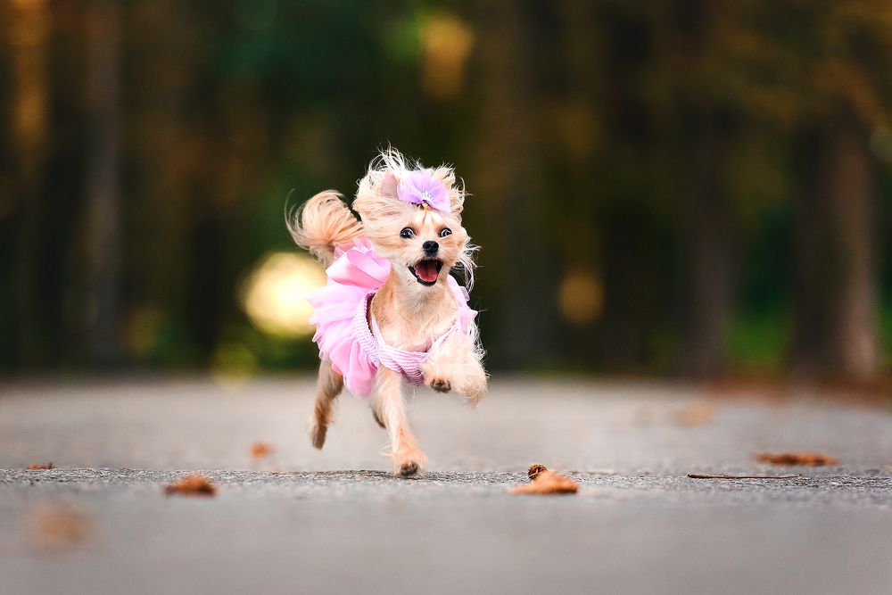 Photograph by Екатерина Коваленко