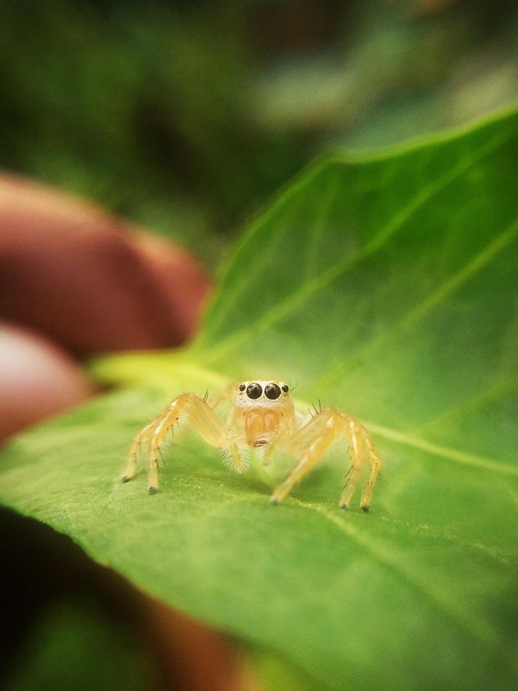 Photograph by Sai Krishna