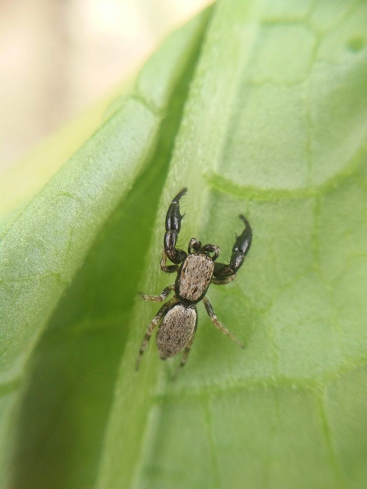 Photograph by Sai Krishna