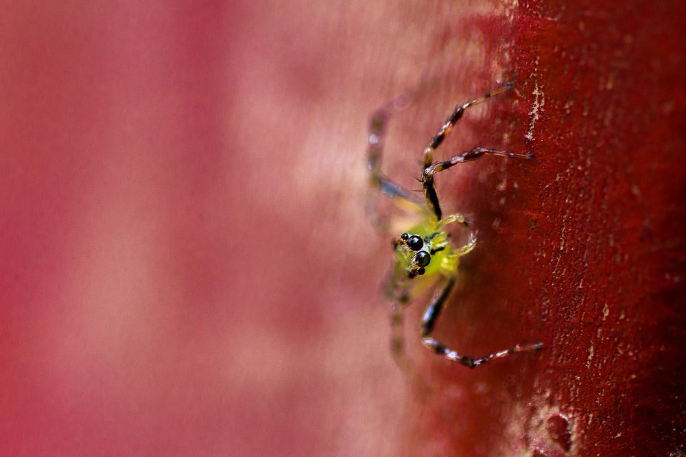 Photograph by Shaikh Hasan