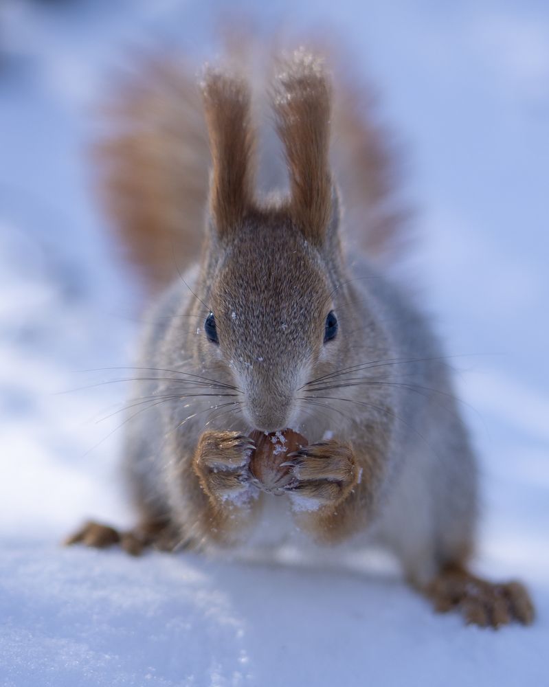 Фотография автора Сергей Затямин