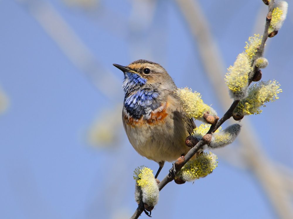 Photograph by Оксана Маховская
