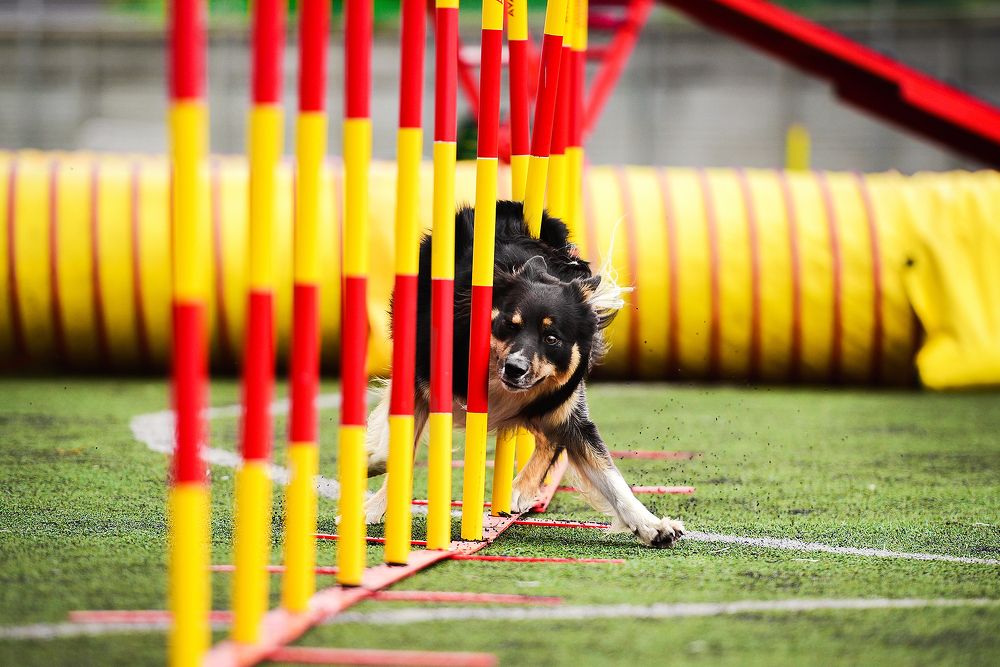 Photograph by Екатерина Коваленко