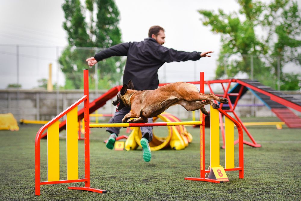 Photograph by Екатерина Коваленко