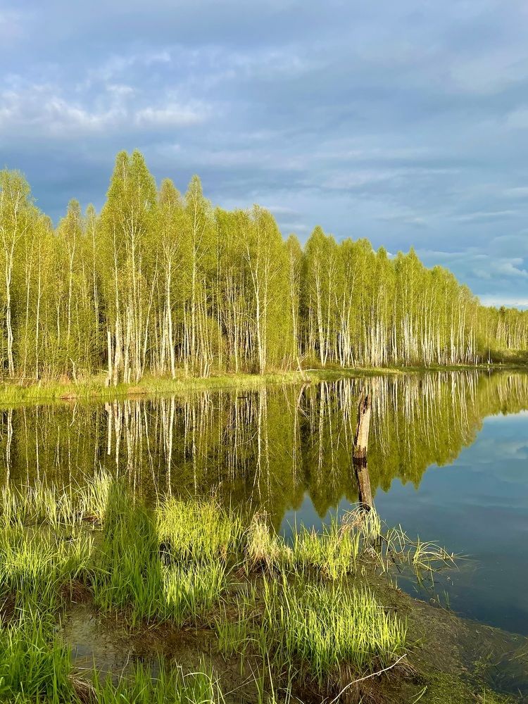 Photograph by Светлана Максимова