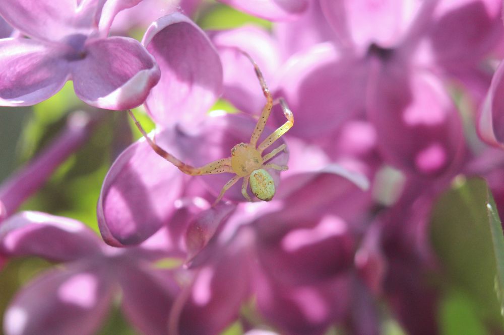 Photograph by Дарья Околова