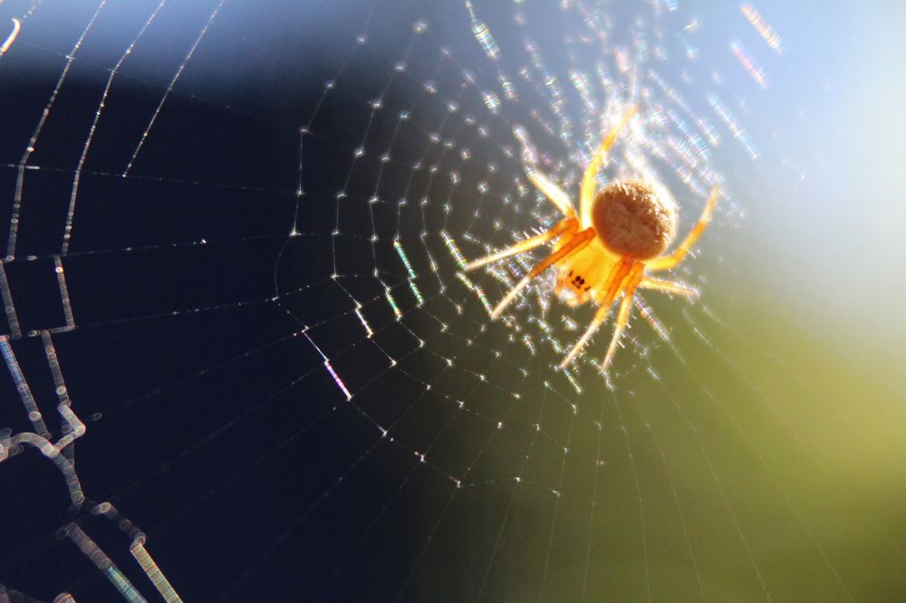 Photograph by Дарья Околова