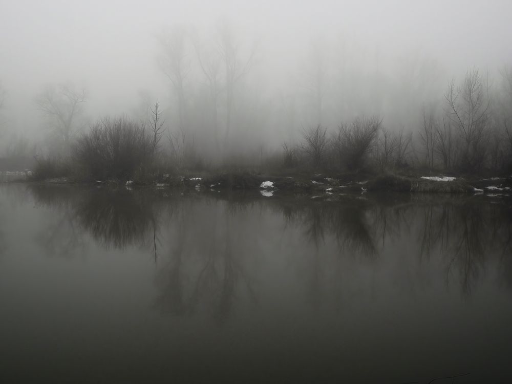 Photograph by Вячеслав Четверов