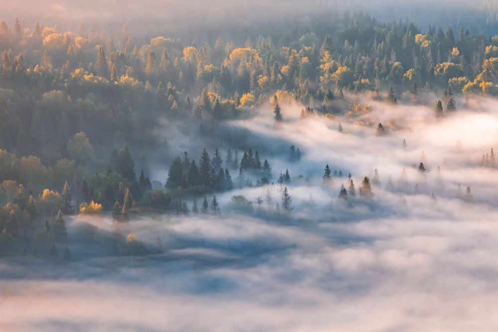 Photograph by Татьяна Егорова