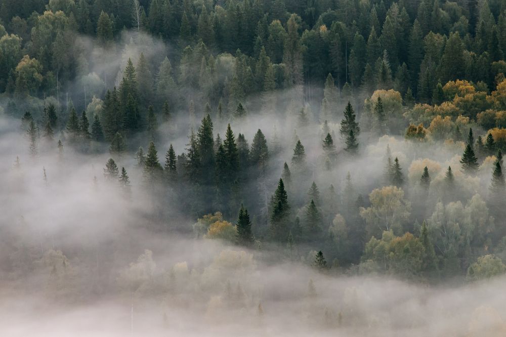 Photograph by Татьяна Егорова