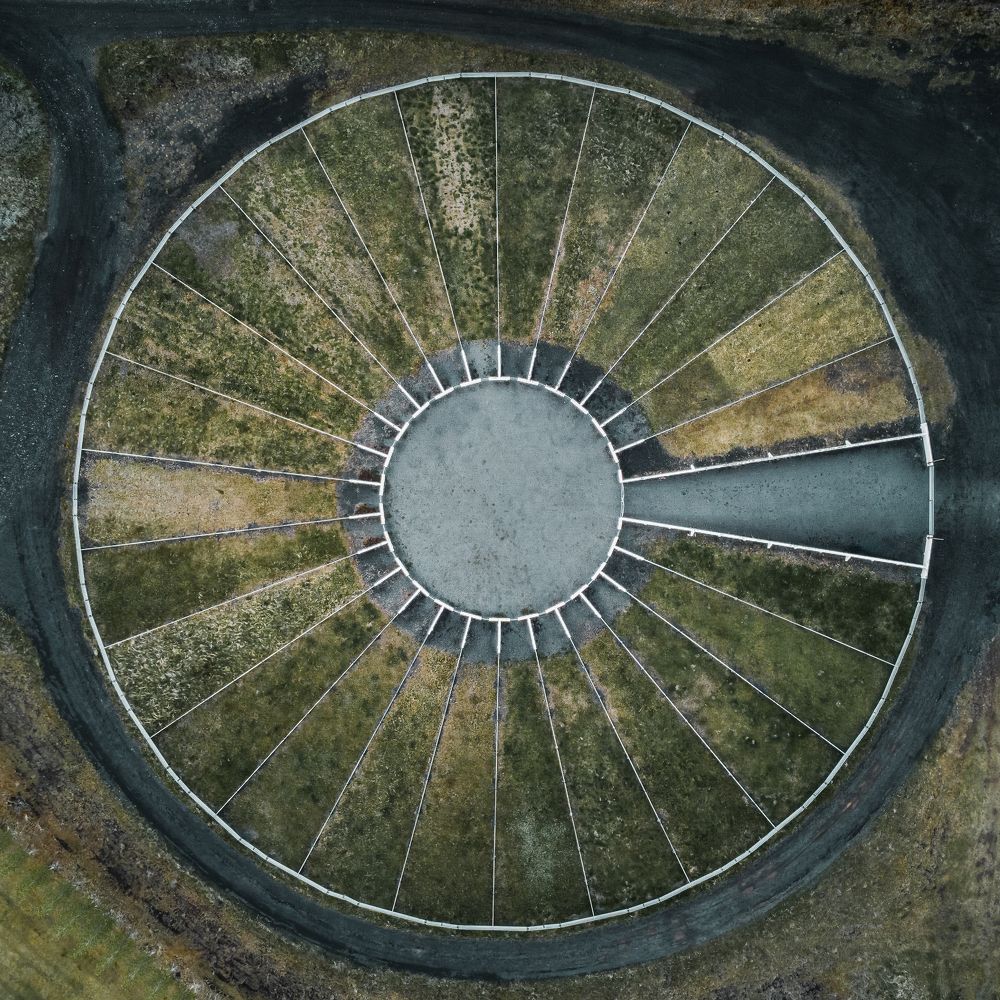 Photograph by Alex Odom-Tomchin