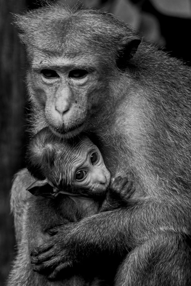 Photograph by THANUSSANTH THARMAPALAN