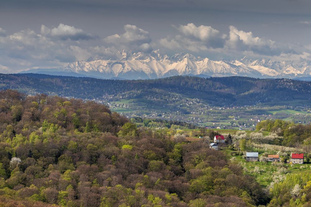 Photograph by Marcin Nalepka