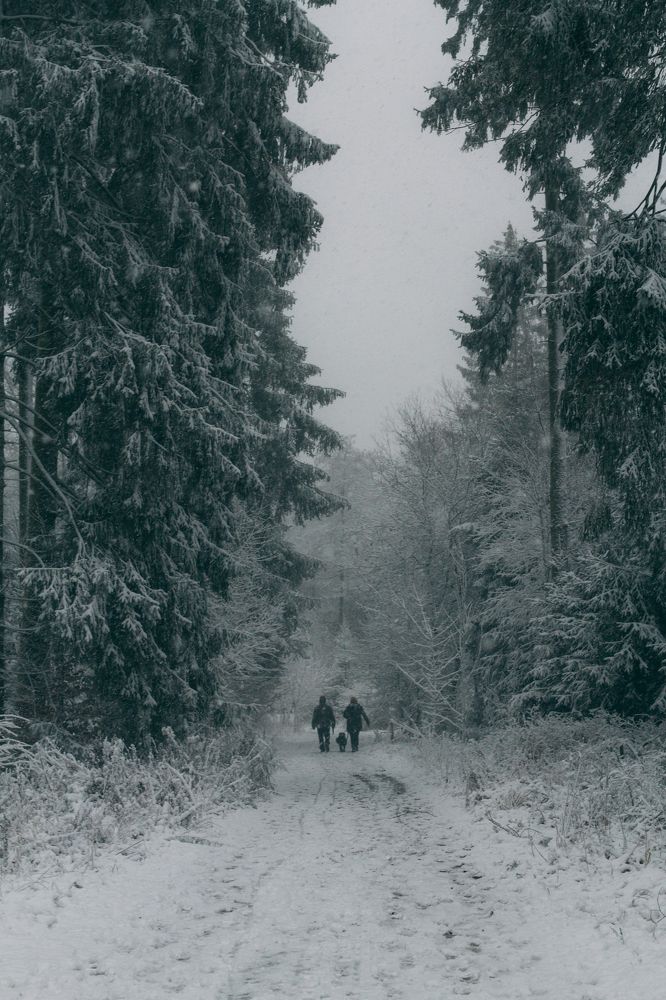 Photograph by Irina Chekanov