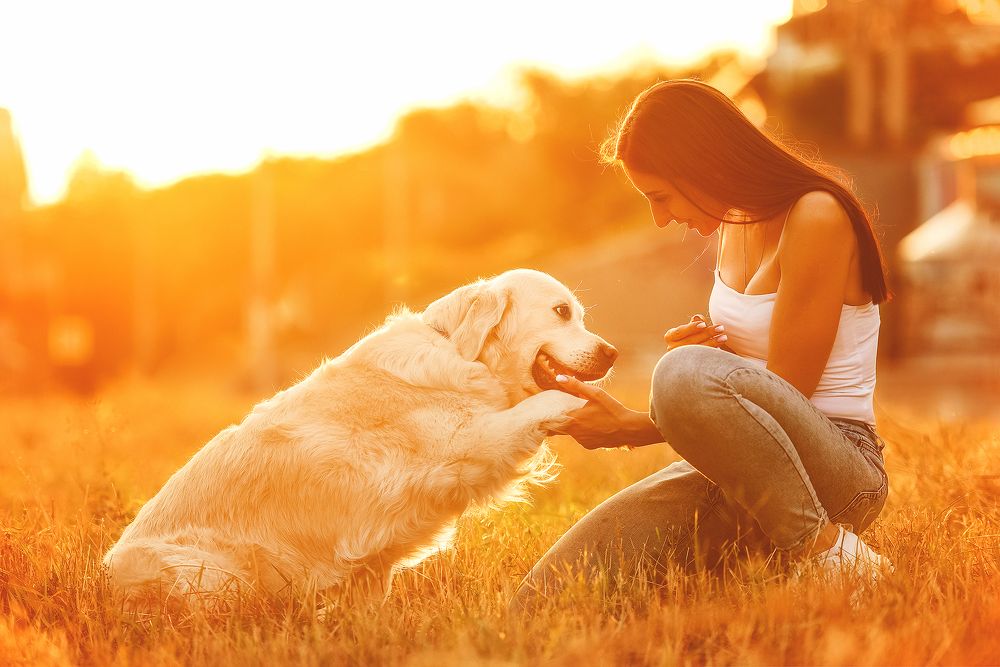 Photograph by Екатерина Коваленко