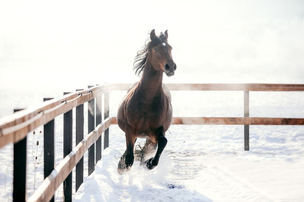 Photograph by Mihai Romeo Bogdan