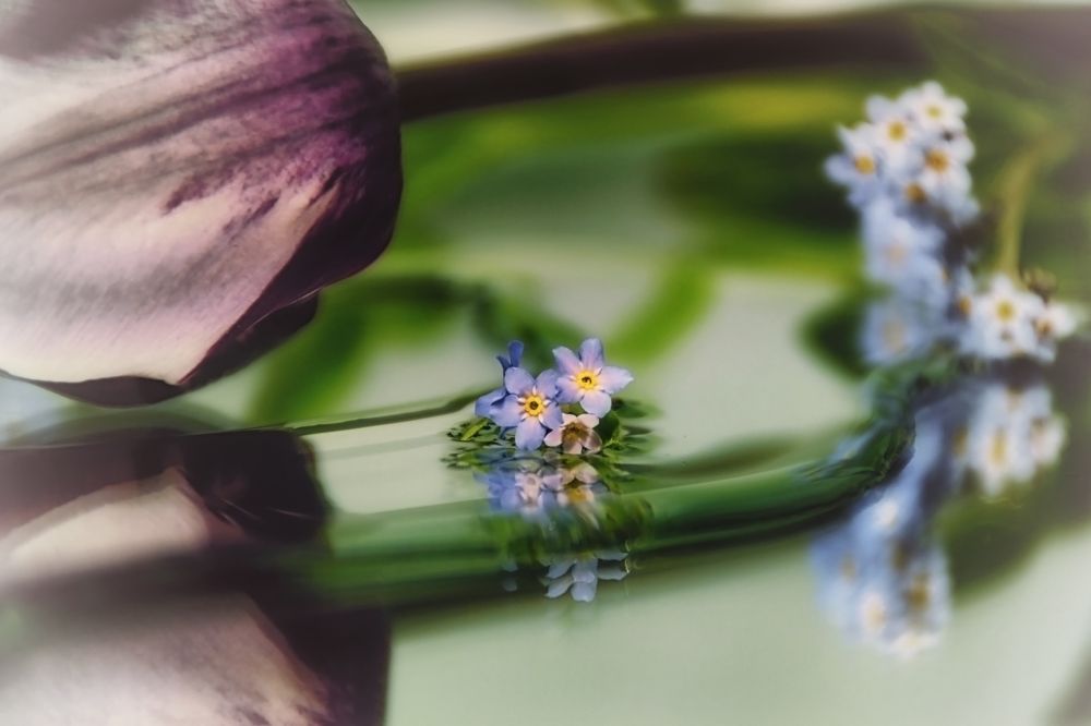 Фотография автора Юлия Кранина