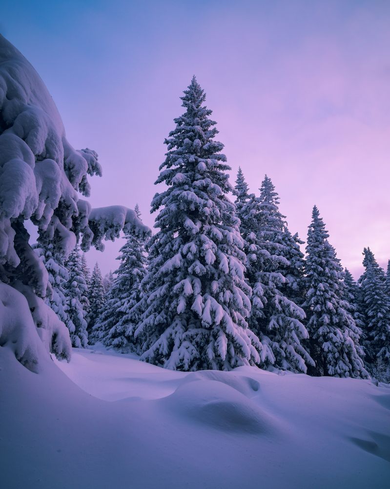 Photograph by Сергей Егоров