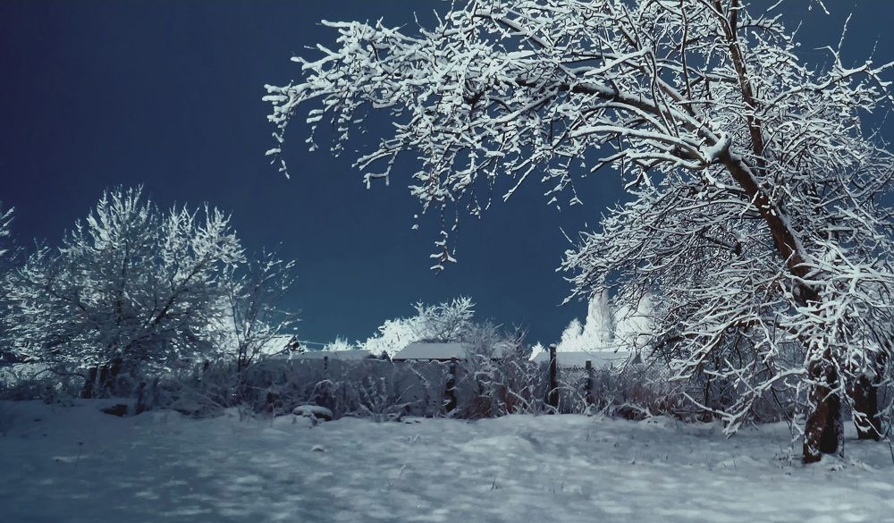 Photograph by Татьяна Шандромайло