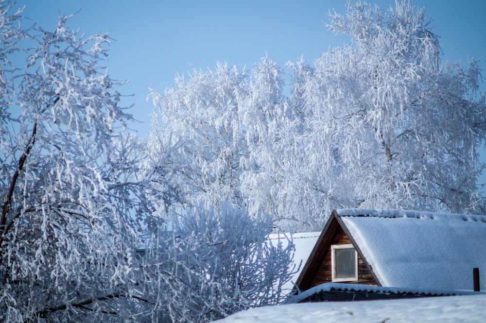 Photograph by Николай Мокшин