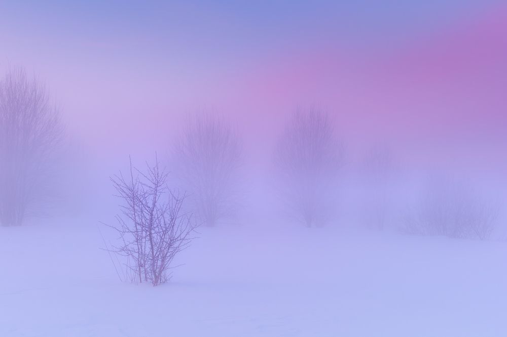 Photograph by Константин Гончаров